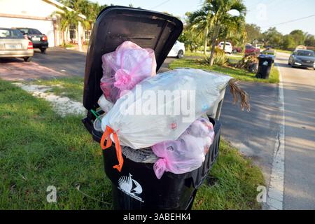 15 septembre 2017 - Fort Lauderdale, Floride, États-Unis d'Amérique - FORT LAUDERDALE, FL - 15 SEPTEMBRE : résidents de Floride toujours sans électricité. Des millions de personnes sont toujours sans électricité après que l'ouragan extrême de catégorie 5 Irma, la plus grande tempête de l'histoire des États-Unis, a frappé l'État le 15 septembre 2017 à Fort Lauderdale, en Floride....personnes : ordures (crédit image : © SMG via ZUMA Wire) Banque D'Images
