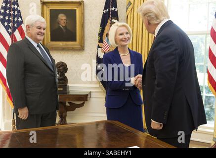 24 octobre 2017 - Washington, District de Columbia, États-Unis d'Amérique - le président Donald J. Trump accueille Callista Gingrich, nouvelle ambassadrice des États-Unis auprès du Saint-Siège, et son mari, Newt Gingrich, au Bureau ovale de la Maison Blanche, le mardi 24 octobre 2017, à Washington, D.C...People : (crédit image : © SMG via ZUMA Wire) Banque D'Images