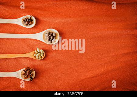 épices colorées dans des cuillères en bois disposées en diagonale sur textile orange. Invitant plat d'automne avec inspiration culinaire Banque D'Images