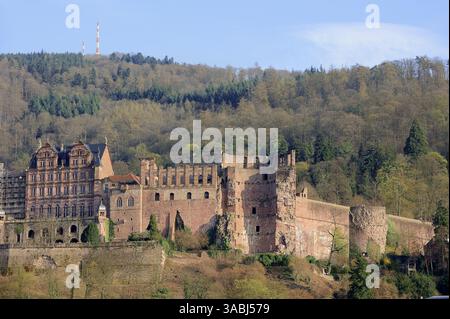 Castle, Heidelberg, Bade-Wurtemberg, Allemagne | Heidelberger Schloss, Heidelberg, Bade-Württemberg, Deutschland Banque D'Images