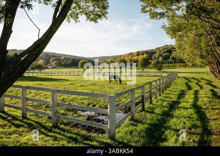 Coin d'un petit enclos pour chevaux. Vue grand angle d'un cheval pâturant dans un paddock avec clôture blanche, paysage de campagne avec gamme de collines. Banque D'Images