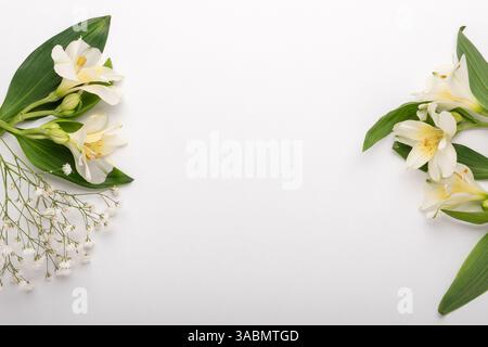 Maquette faite avec des fleurs sur fond blanc. Concept minimal. Banque D'Images