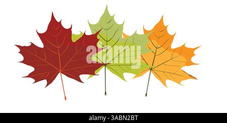 Logo de feuilles d'érable ; feuilles colorées de trois mêmes arrière-plan automnal Illustration de Vecteur