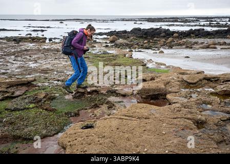 Jeune femme à la recherche de l'empreinte de dinosaure visible à marée basse sur le rivage de Kildonan, île d'Arran, Écosse, Royaume-Uni. Banque D'Images
