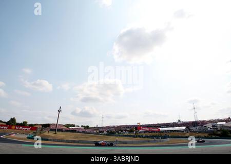 Fernando Alonso (ESP) McLaren MP4-22 ..Formula One World Championship, Rd 11, Grand Prix de Hongrie, course, Budapest, Hongrie, dimanche 5 août 2007. (Crédit image : ©Sutton Motorsports/ZUMA Press) RESTRICTIONS : DROITS en Amérique du Nord et du Sud SEULEMENT ! Banque D'Images