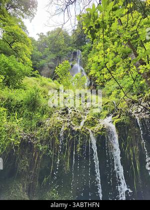 La cascade de Bad Urach, encastrée dans un paysage forestier verdoyant. L'eau coule le long d'une paroi rocheuse et forme une petite piscine au fond, autour Banque D'Images