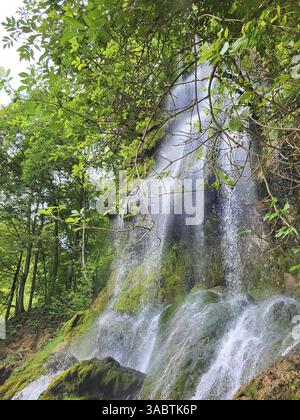 La cascade de Bad Urach, encastrée dans un paysage forestier verdoyant. L'eau coule le long d'une paroi rocheuse et forme une petite piscine au fond, autour Banque D'Images
