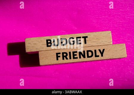 Message amical de budget écrit sur des blocs de bois sur fond rose. Symbole conceptuel favorable au budget. Copier l'espace. Banque D'Images