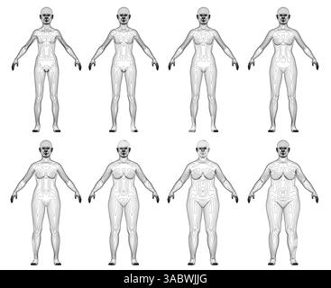 Une série de dessins en noir et blanc de femmes avec différents types de corps. Les dessins sont tous de la même taille et sont alignés les uns à côté des autres. Scen Illustration de Vecteur