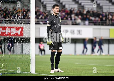Stade Ajinomoto, Tokyo, Japon. 2 avril 2025. Matheus (Verdy), 2 AVRIL 2025 - Football/Football : match de Ligue J1 2025 entre Tokyo Verdy 2-2 FC Tokyo au stade Ajinomoto, Tokyo, Japon. Crédit : MATSUO. K/AFLO SPORT/Alamy Live News Banque D'Images