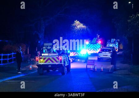 Poole, Dorset, Royaume-Uni. 3 avril 2025. Météo britannique. Les pompiers de Beacon Road se précipitent sur un énorme feu de forêt à Upton Heath à Poole dans le Dorset. Plusieurs services d'urgence sont présents, les voies étant fermées sur la voie de contournement A35 Upton en raison de la proximité de l'incendie. Ce dernier incendie dans la région de Bournemouth et Poole vient après une période de sécheresse prolongée avec des températures supérieures à la moyenne pour la période de l'année. Crédit photo : Graham Hunt/Alamy Live News Banque D'Images