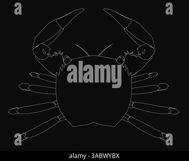 Un crabe est représenté en noir et blanc. Le crabe est dessiné de manière stylisée, avec ses griffes et ses griffes visibles. L'image a une sensation de mauvaise humeur et mystérieuse t Illustration de Vecteur