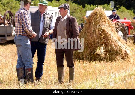 12 août 2007 - Moynalty, Kells, County Meath, Irlande - sur la photo au Moynalty Steam Threshing Festival annuel, trois hommes discutent. Présenté comme une célébration des jours passés, de la puissance du cheval et de la vapeur, voitures anciennes, tracteurs, machines tirées par des chevaux, moteurs à huile, stands de commerce, artisanat, foire funiculaire, sidehows, musique et danse. Country Living des années passées est présenté de manière unique et reconstitué dans une série de démonstrations et d'expositions. (Crédit image : © Barry Cronin/ZUMA Press) Banque D'Images