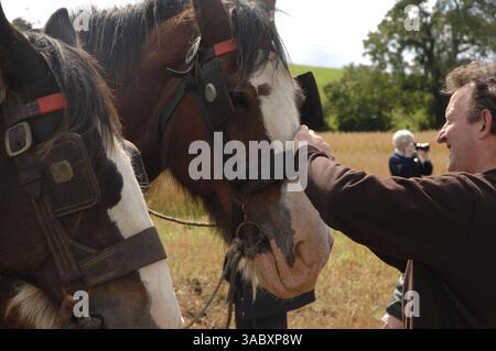 12 août 2007 - Moynalty, Kells, County Meath, Irlande - sur la photo du Moynalty Steam Threshing Festival annuel, un passionné caressant certains des chevaux labourants exposés. Présenté comme une célébration des jours passés, de la puissance du cheval et de la vapeur, voitures anciennes, tracteurs, machines tirées par des chevaux, moteurs à huile, stands de commerce, artisanat, foire funiculaire, sidehows, musique et danse. Country Living des années passées est présenté de manière unique et reconstitué dans une série de démonstrations et d'expositions. (Crédit image : © Barry Cronin/ZUMA Press) Banque D'Images