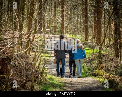 Petit groupe de promeneurs et un chien marchant le long d'un chemin forestier ensoleillé dans Ogden Country Park, West Yorkshire, vu de derrière. Halifax. ROYAUME-UNI Banque D'Images