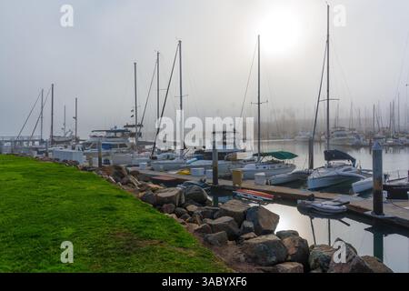 Oceanside, Californie - 3 janvier 2025 : marina sereine à Oceanside, Californie, enveloppée dans le brouillard matinal, mettant en vedette des bateaux et des mâts s'illuminent doucement Banque D'Images