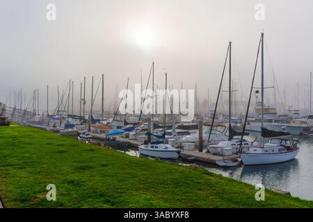 Oceanside, Californie - 3 janvier 2025 : scène de marina sereine à Oceanside, Californie avec de nombreux voiliers enveloppés dans le brouillard, créant un tranqui Banque D'Images