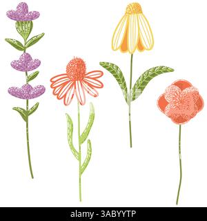 Ensemble de quatre illustrations florales colorées dessinées à la main Illustration de Vecteur