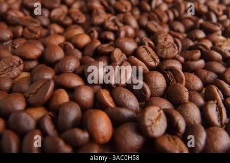 Plan détaillé de grains de café torréfiés, montrant leur couleur et leur texture brun foncé, évoquant la chaleur et l'arôme du café frais Banque D'Images