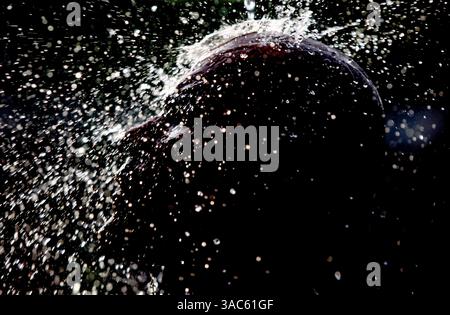 23 janvier 2008 - Kuala Lumpur, Malaisie - Un dévot hindou effectue un bain rituel pendant le festival Thaipusam. Thaipusam est un festival hindou célébré par la communauté tamoule du monde entier sur la pleine lune dans le mois tamoul de la Thaïlande, avec des célébrations au temple des grottes de Batu attirant de nombreux visiteurs. Les dévots malaisiens se préparent à l'événement en nettoyant par la prière et le jeûne. Les participants dévots percent la peau, la langue ou les joues avec des brochettes « vel ». On dit que plus la douleur est grande, plus Dieu mérite. Banque D'Images