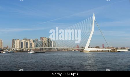 Skyline Rotterdam : Panorama Erasmus pont sur la Meuse. Banque D'Images