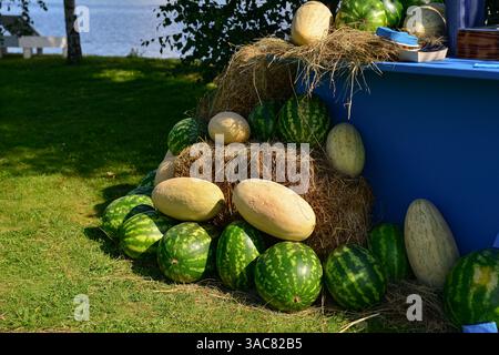 Moscou Russie - août 25 2023 - pile de pastèques et de melons mûrs disposés sur des balles de foin à côté d'une table bleue lors d'une réunion estivale au bord du lac. Banque D'Images