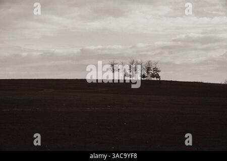 Sur la colline Banque D'Images