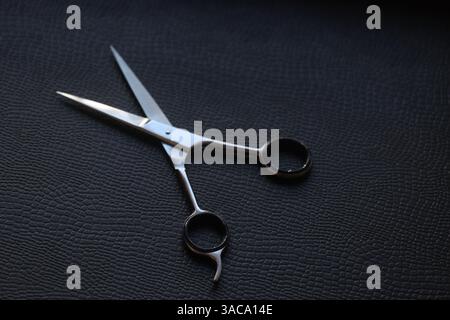 Ciseaux capillaires de précision pour les professionnels Banque D'Images