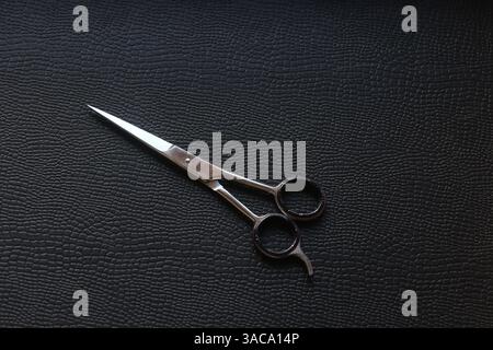 Ciseaux capillaires de précision pour les professionnels Banque D'Images