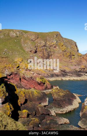 Formations rocheuses volcaniques sur le littoral de St ABB's Head. Berwickshire, Écosse, mars 2025 Banque D'Images