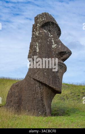 Chili, île de Pâques, alias Rapa Nui. Rano Raraku, alias la carrière. Site classé au patrimoine mondial de l'UNESCO. Banque D'Images
