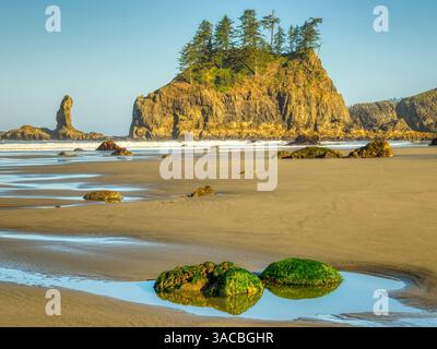 État de Washington, États-Unis. Parc national olympique, second Beach, rochers couverts d'herbiers marins dans la piscine de marée et les trous de mer à marée basse. Banque D'Images
