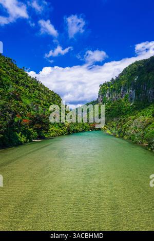La rivière Pororari, parc national de Paparoa, Punakaiki, Nouvelle-Zélande Banque D'Images