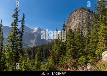 Le parc national Banff, Alberta, Canada Banque D'Images