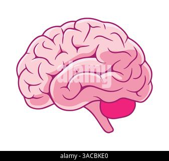 Gribouillage cérébral dessiné à la main. Conception d'illustration simple et créative. Parfait pour les thèmes éducatifs et médicaux. Illustration de Vecteur
