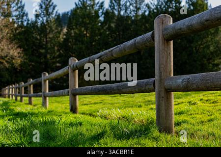 Issaquah WA USA - 29 mars 2025 : simplicité ensoleillée : clôture en bois encadrant l'herbe verte Banque D'Images