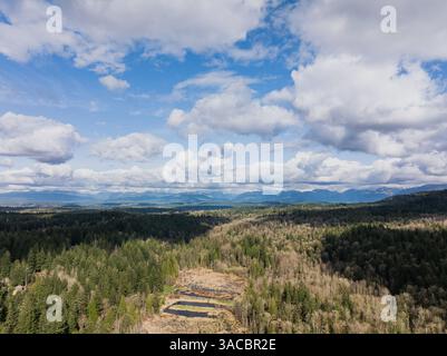 Issaquah WA USA - 29 mars 2025 : ciel serein : un paysage nuageux sous le jour ensoleillé Banque D'Images