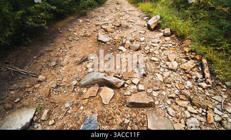 Sentier de montagne accidenté serpentant à travers une forêt verdoyante, les randonneurs difficiles avec un terrain sauvage pittoresque et un paysage forestier dense Banque D'Images