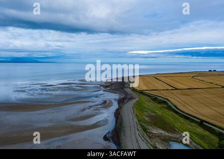 Nice survol de Salterstown, Annagassan, County Louth, République d'Irlande Banque D'Images