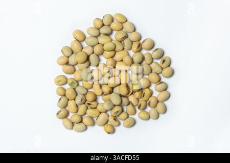 Soja cru biologique gros plan superaliment végétalien sur fond blanc vue de dessus. Banque D'Images
