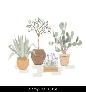 Agave en pot, olivier, cactus de barbarie et lavande. Jardin méditerranéen dans le patio ou le balcon. Plantes d'intérieur en pot pour climat sec. Vecteur Illustration de Vecteur