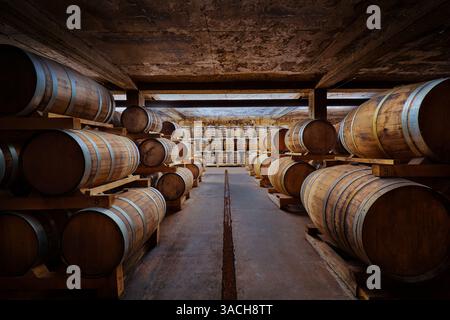 Un regard intérieur sur une salle de tonneaux traditionnelle présentant des rangées de tonneaux en bois reposant dans un cadre rustique, parfait pour vieillir des vins fins ou des spiritueux Banque D'Images