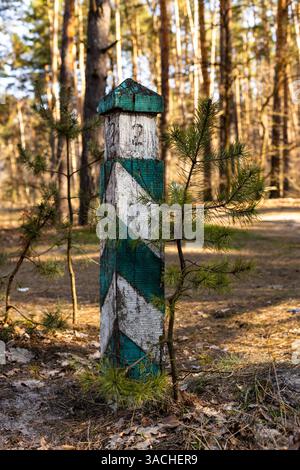 Un point de repère magnifiquement altéré : le poteau vertical avec un design unique entouré par la nature dans un cadre de forêt de pins Banque D'Images
