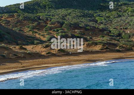 Une vue aérienne imprenable sur la plage de Cavalleria à Minorque, mettant en valeur sa beauté naturelle où les rives sablonneuses rencontrent la mer Méditerranée turquoise, bordée Banque D'Images