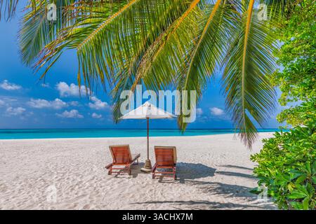 Plage tropicale ensoleillée romantique, chaises parasol palmiers sur sable, vue tranquille sur l'océan, paradis heureux détente rivage. Incroyable fond d'écran de vacances Banque D'Images