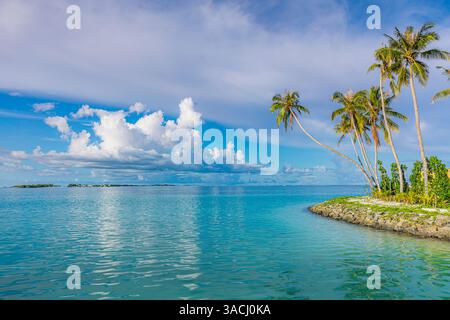 Plage de vacances Maldives avec baie de mer turquoise, sable blanc, palmiers du ciel ensoleillé, ambiance sereine de l'île parfait pour la détente, voyage, escapades exotiques. Banque D'Images