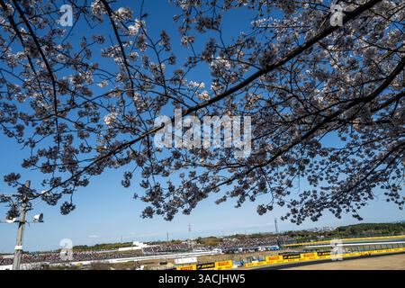 SUZUKA INTERNATIONAL RACING COURSE, JAPON - 04 AVRIL : Oscar Piastri, McLaren F1 MCL39 d'Australie pendant le Grand Prix du Japon au Suzuka International Racing course le vendredi 04 avril 2025 à Suzuka, Japon (photo de Michael Potts/Agence BSR) crédit : Agence BSR/Alamy Live News Banque D'Images