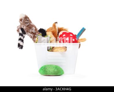 Assortiment de jouets pour chiens dans un conteneur de boîte. Variété de nombreux grands animaux en peluche et jouets grinçants pour choyer un chien moyen à grand. Comportementale enri Banque D'Images