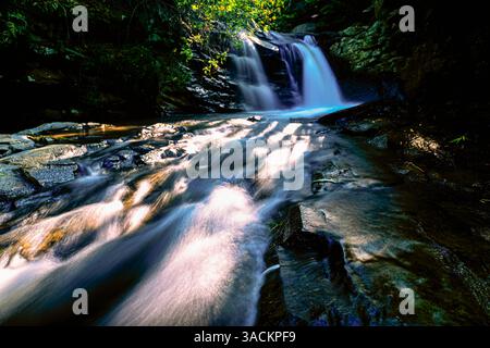 Une belle cascade coule sur des rochers lisses dans une forêt luxuriante. La lumière du soleil filtre à travers les arbres. Banque D'Images