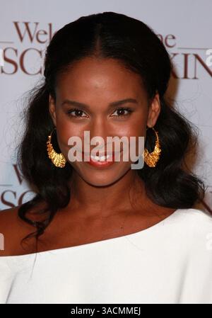 28 janvier 2008 - Hollywood, Californie, États-Unis - JOY BRYANT assiste à la première de 'Welcome Home Roscoe Jenkins' au théâtre chinois Graumans à Hollywood, Californie 12/28/08 (crédit image : Banque D'Images
